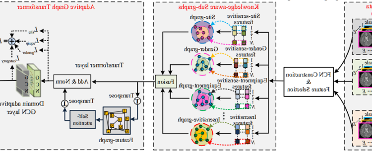 医学部雷柏英教授团队在IEEE Transactions on Medical Imaging发表使用rs-fMRI进行脑疾病诊断研究成果